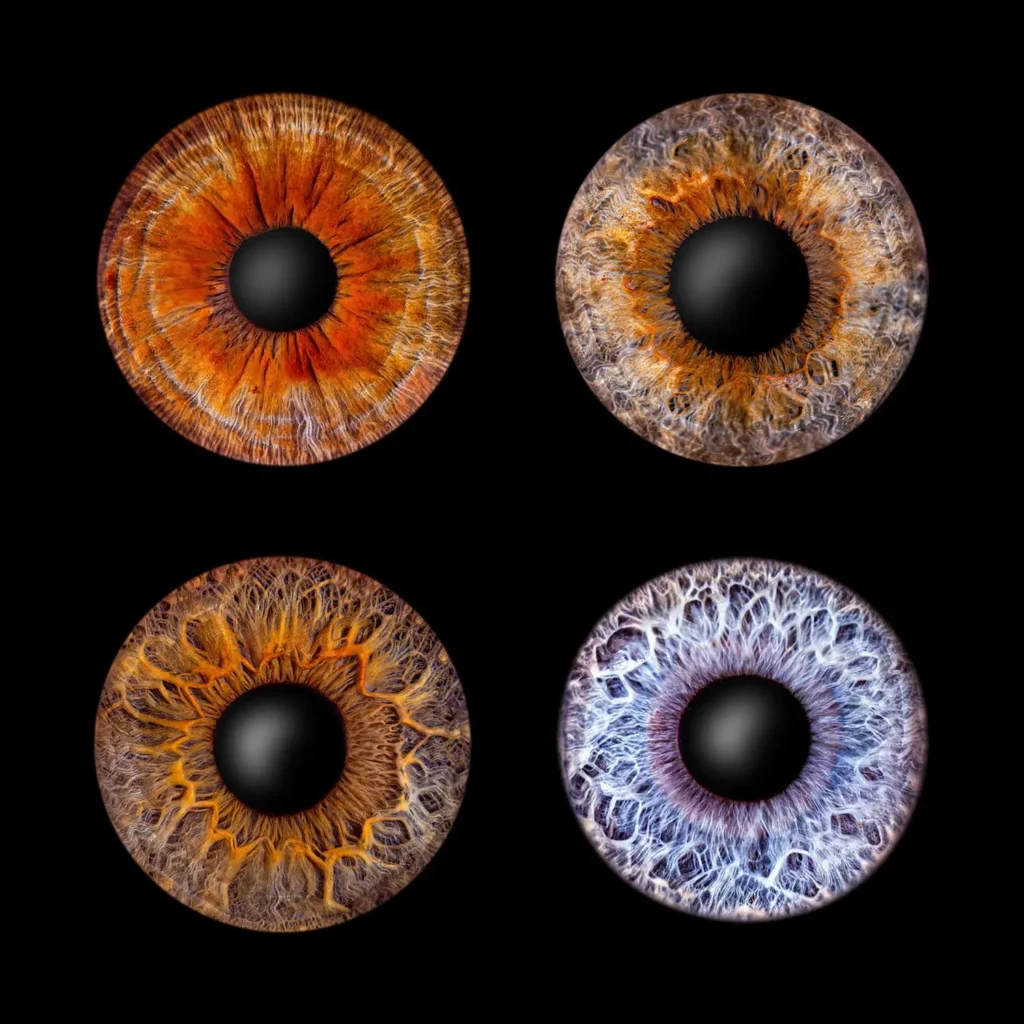 irisfoto_vierer_quadrat_web