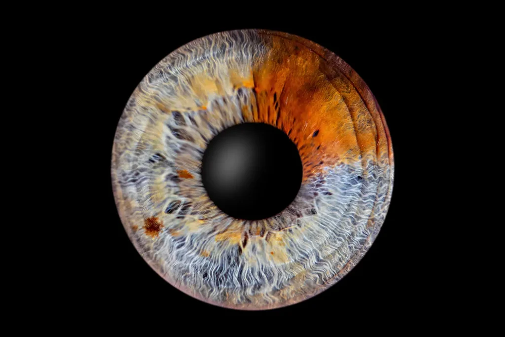 irisshooting-dortund_web